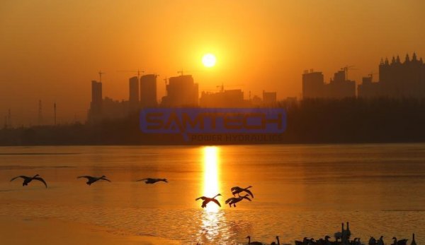 創新發展，第一動力勁頭足