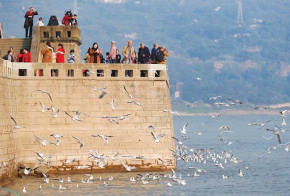 中國式現代化的一個重要特征